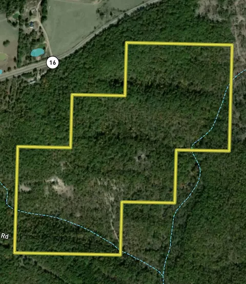 601 Winding Rd, Jerusalem, AR 72080 photo 49