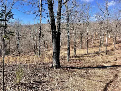 601 Winding Rd, Jerusalem, AR 72080 photo 24