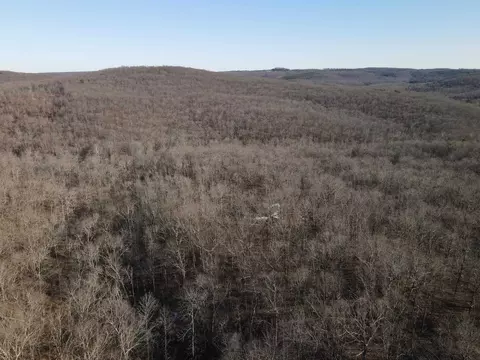 601 Winding Rd, Jerusalem, AR 72080 photo 18