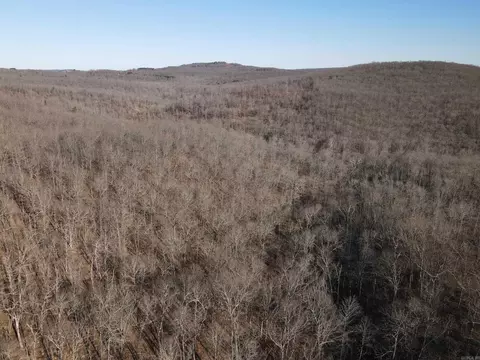 601 Winding Rd, Jerusalem, AR 72080 photo 19