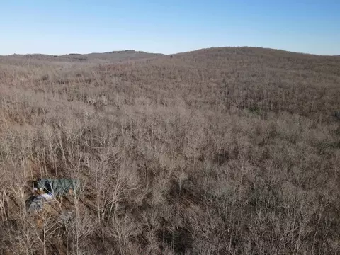 601 Winding Rd, Jerusalem, AR 72080 photo 16
