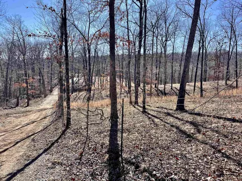 601 Winding Rd, Jerusalem, AR 72080 photo 26