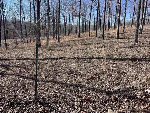 601 Winding Rd, Jerusalem, AR 72080 photo 27
