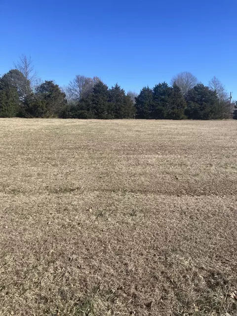 33 34 Emerald Ln, Greers Ferry, AR 72067