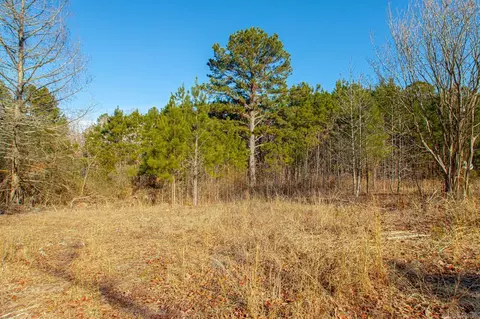 626 Palmetto Loop, Bismarck, AR 71929 photo 24