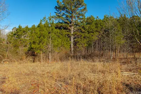 626 Palmetto Loop, Bismarck, AR 71929 photo 23