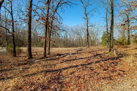 626 Palmetto Loop, Bismarck, AR 71929 photo 21