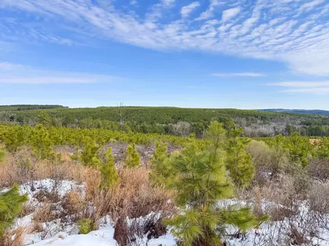 950 Tarter Hill Rd, Quitman, AR 72131