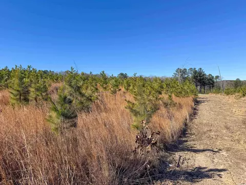 952 Tarter Hill Rd, Quitman, AR 72131 photo 14
