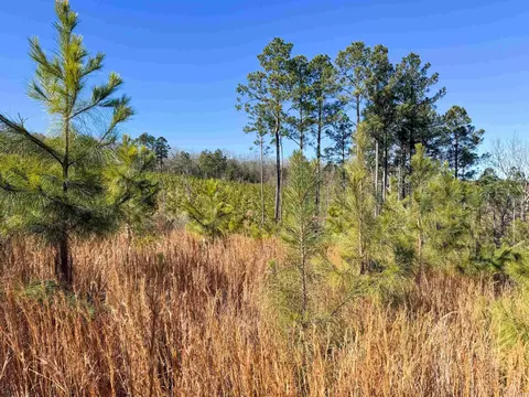 952 Tarter Hill Rd, Quitman, AR 72131 photo 7