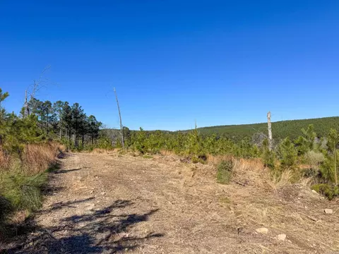 952 Tarter Hill Rd, Quitman, AR 72131 photo 8