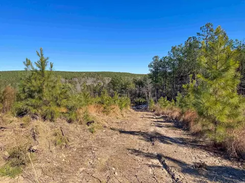 952 Tarter Hill Rd, Quitman, AR 72131 photo 13