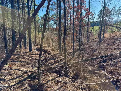 952 Tarter Hill Rd, Quitman, AR 72131 photo 10
