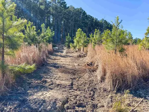 952 Tarter Hill Rd, Quitman, AR 72131 photo 9
