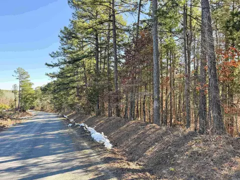 952 Tarter Hill Rd, Quitman, AR 72131 photo 6