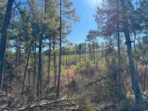 952 Tarter Hill Rd, Quitman, AR 72131 photo 15