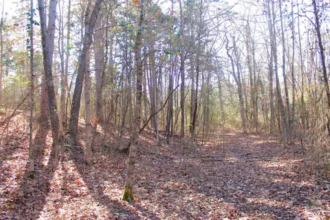Other - 4240 Edgemont Rd, Quitman, AR 72131 photo 4 of 4