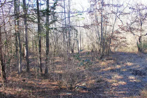 Exterior - 4240 Edgemont Rd, Quitman, AR 72131 photo 6 of 6