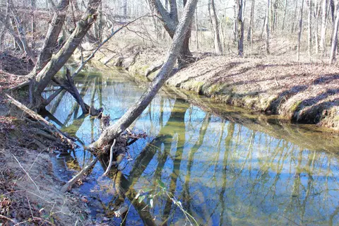 View/Area - 4240 Edgemont Rd, Quitman, AR 72131 photo 1 of 2