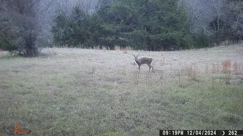 Other - 127 Lark Ln, Mena, AR 71953 photo 21 of 22
