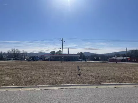 lot2 E Highway 14, Mountain View, AR 72560 photo 4