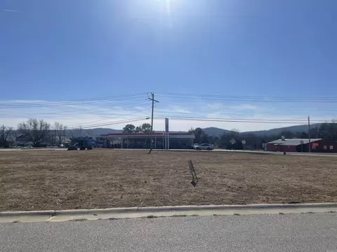 lot5 Killian St, Mountain View, AR 72560 photo 4