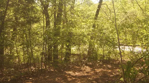 lot2 Booth Creek Rd, Williford, AR 72482