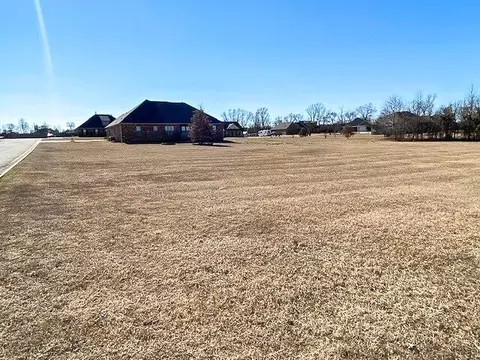 Other - 46 Alexandrea Dr, Greenbrier, AR 72058 photo 11 of 11