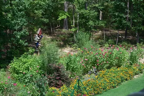 Other - 608 Lucy Ln, Alexander, AR 72002 photo 16 of 17