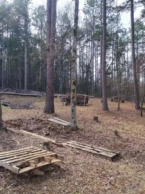 376 Pace Rd, Melbourne, AR 72556 photo 20
