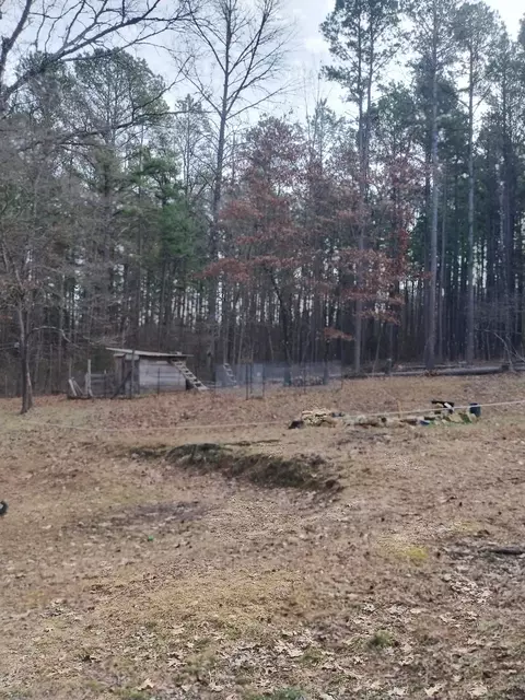 376 Pace Rd, Melbourne, AR 72556 photo 17