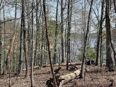 25 Purista Ln, Hot Springs Village, AR 71909