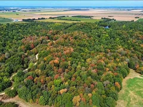 2 Cr 449, Pollard, AR 72456