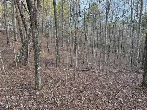 229 Denby Cv, Mount Ida, AR 71957 photo 13