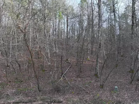 229 Denby Cv, Mount Ida, AR 71957 photo 2