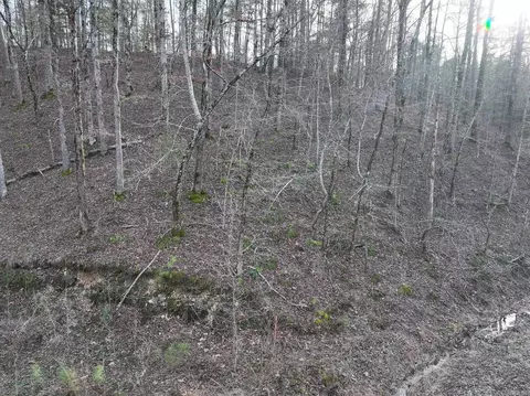 229 Denby Cv, Mount Ida, AR 71957 photo 3