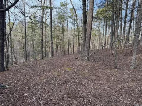 229 Denby Cv, Mount Ida, AR 71957 photo 12