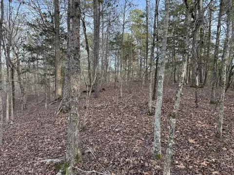 229 Denby Cv, Mount Ida, AR 71957 photo 16
