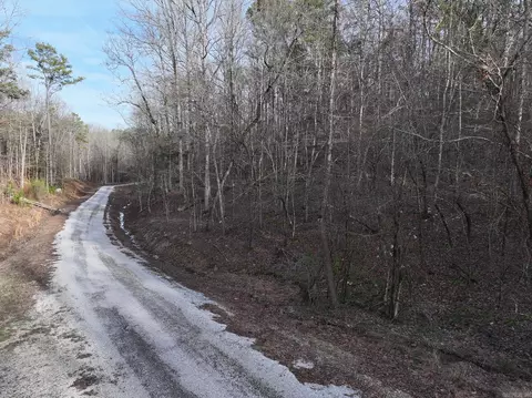 229 Denby Cv, Mount Ida, AR 71957