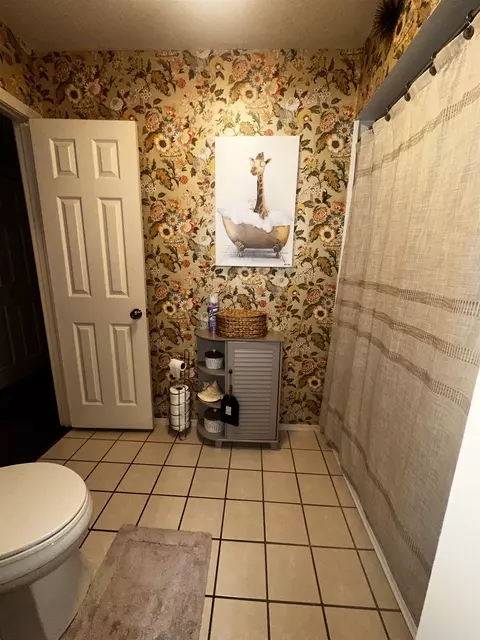 Bath - 16 Dark Forest Pl, Benton, AR 72019 photo 3 of 3