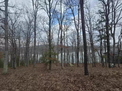 4 Angel Way, Clinton, AR 72031 photo 1