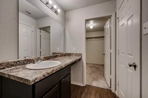 Bath - 7001 Woodsgate Cv, Alexander, AR 72002 photo 1 of 3