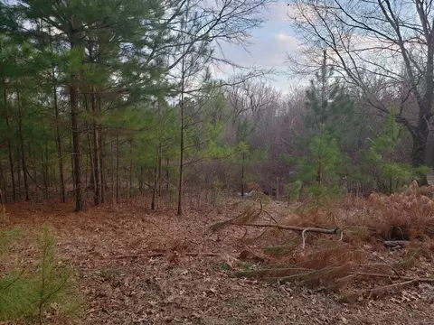 16925 E Miller Sardis Rd, Bauxite, AR 72011 photo 20