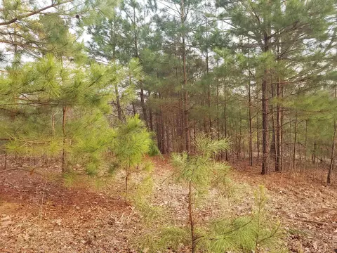 16925 E Miller Sardis Rd, Bauxite, AR 72011 photo 21
