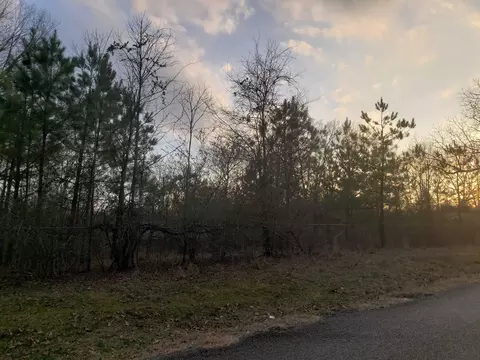 16925 E Miller Sardis Rd, Bauxite, AR 72011 photo 6