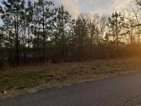 16925 E Miller Sardis Rd, Bauxite, AR 72011 photo 9