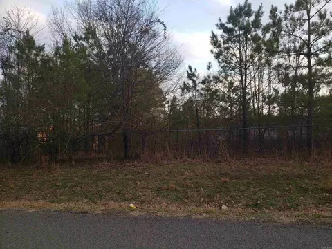 16925 E Miller Sardis Rd, Bauxite, AR 72011 photo 10