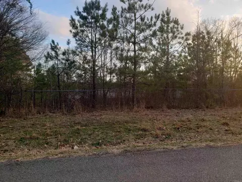 16925 E Miller Sardis Rd, Bauxite, AR 72011 photo 8