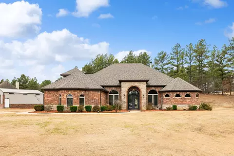 7003 Gemstone Dr, Alexander, AR 72002 photo 1