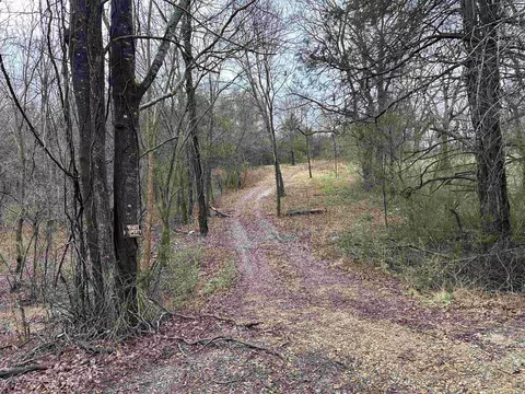 305 Loop Rd, Locust Grove, AR 72550 photo 8